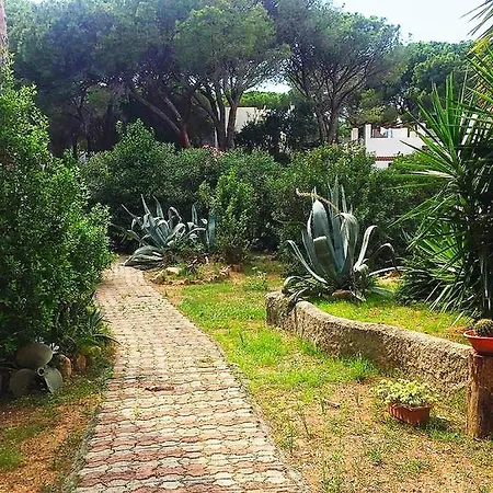 Dei Pini Iun S3571 Daire *