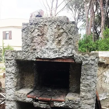Dei Pini Iun S3571 *