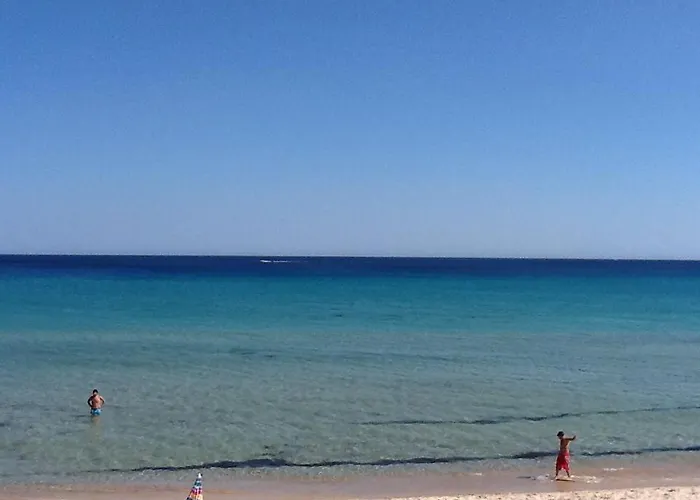 Dei Pini Iun S3571 * サンタ・マルゲリータ・ディ・プーラ