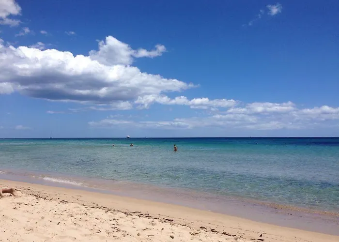 Dei Pini Iun S3571 *