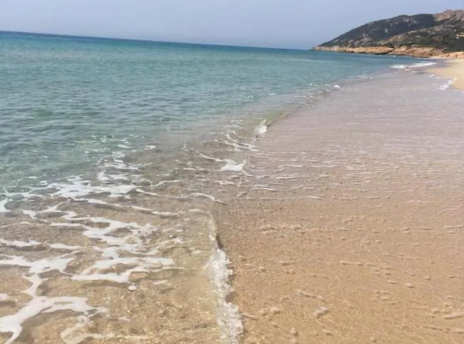 Dei Pini Iun S3571 *