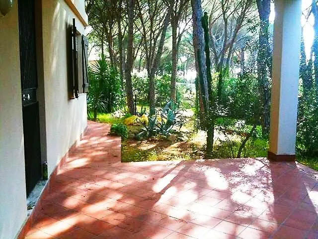 Dei Pini Iun S3571 サンタ・マルゲリータ・ディ・プーラ