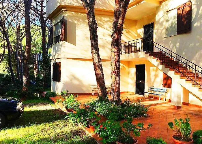 Dei Pini Iun S3571 サンタ・マルゲリータ・ディ・プーラ