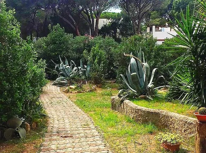 Dei Pini Iun S3571 アパート *